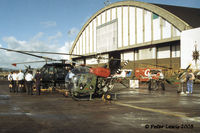 NZ3702 @ NZWP - RNZAF - 1994 - by Peter Lewis