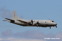NZ4203 @ NZOH - RNZAF - by Peter Lewis