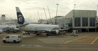 N769AS photo, click to enlarge