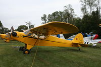 N40782 @ 64I - Piper J3F-65 - by Mark Pasqualino