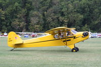 N3535N @ 64I - Piper J3C-65 - by Mark Pasqualino