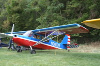 N36176 @ 64I - Bellanca 8KCAB - by Mark Pasqualino