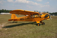 N65LC @ CDN - Taken during the 2008 VAA Chapter 3 Fly-In at Camden, SC. - by Bradley Bormuth