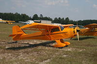 N311CL @ CDN - Taken during the 2008 VAA Chapter 3 Fly-In at Camden, SC. - by Bradley Bormuth