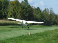 N6875M - Landing at home field in Burt, NY. - by Terry L. Swann