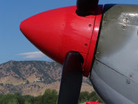 N308WK @ BDU - TE308 Spitfire Parked at Boulder open house. - by Bluedharma