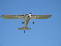 N326DW @ SZP - 1946 Cessna 140, Continental O-200 100 Hp upgrade, takeoff climb Rwy 22 - by Doug Robertson