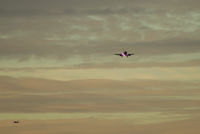 OM-NGJ @ VIE - SkyEurope Airlines Boeing 737-76N(WL)