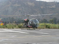N8503F photo, click to enlarge