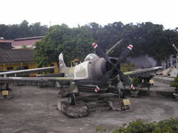 134636 photo, click to enlarge