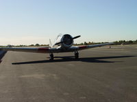 N96281 @ CCB - Resting with sun at her back - by Helicopterfriend