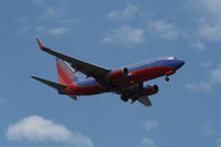 N446WN @ TPA - Southwest 737-700 - by Florida Metal
