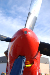 N11636 @ KBJC - 'Stang Evil on display at Salute to Veteran's 2008 event at Broomfield Colorado.