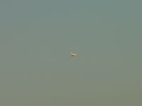N933DR photo, click to enlarge