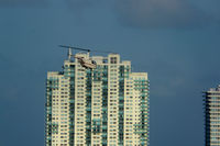 N242MG - Taken at Miami harbour. - by Keith Wilson