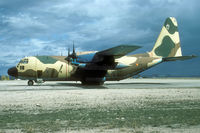 T10-10 @ LEZG - The Spanish Hercules were looking smart in the old desert camo. - by Joop de Groot