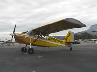 N625AP @ SZP - 1979 Bellanca 8GCBC SCOUT, Lycoming O&VO-360 180 Hp - by Doug Robertson