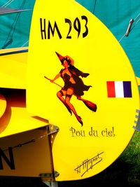 F-59CFN - Mignet HM-293 Pou du Ciel F-59CFN