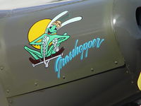 N8104V @ CCB - Grasshopper nose art - by Helicopterfriend