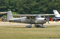 N1933Z @ SFQ - Metallic visage on the grass