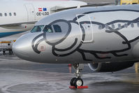 OE-LEK @ LOWI - Airbus A319-112