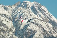 OE-LTO @ LOWI - AUSTRIAN ARROWS - by Delta Kilo