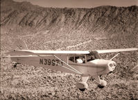 N39978 - Baja California nearing San Ignacio, Herb Shields flying. - by Don Downie