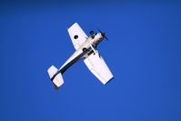 N7395L @ KUOS - Wilbur is used for spin and aerobatic instruction at Sewanee Aerobatic School - by aerobaticchick