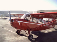 N4462E @ KFFZ - A champ at Arizona Aviation - by Christopher Maize