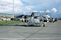 196 @ EIME - The Irish flag was applied to show IRA fighters during border patrols this was not a British helicopter - by Joop de Groot