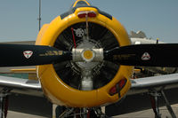 N81643 @ KCMA - Camarillo Airshow 2006 - by Todd Royer