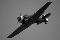 N8540P @ KCMA - Camarillo Airshow 2006 - by Todd Royer