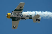 N1038A @ KCMA - Camarillo Airshow 2006 - by Todd Royer