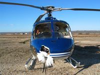 N350BH - after a multiple birdstrike - by unknown