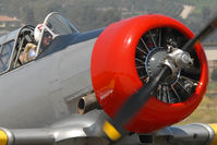 N75964 @ KCMA - Camarillo Airshow 2008 - by Todd Royer