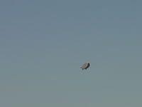 N156LG @ POC - Approaching south of Brackett, around IS 10 - by Helicopterfriend