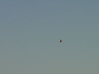 N4003S photo, click to enlarge