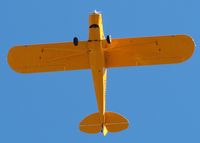 N60NG @ DTN - The bottom of a Cub over the Downtown Shreveport airport. - by paulp