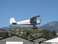 N77950 @ SZP - 1946 Luscombe 8A, Continental A&C65 65 Hp, takeoff climb Rwy 04 - by Doug Robertson