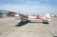 N3448C @ SEF - Cessna 170B - by Florida Metal