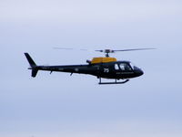 ZJ275 photo, click to enlarge ZJ275 photo, click to enlarge