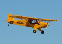 N60NG @ DTN - Landing at Downtown Shreveport. - by paulp