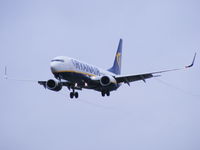 EI-DLS photo, click to enlarge EI-DLS photo, click to enlarge