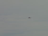 N706SW photo, click to enlarge