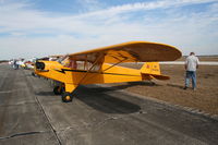 N1542N @ SEF - Piper J3C Cub - by Florida Metal