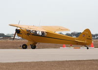 N26950 @ SEF - Piper J3C Cub
