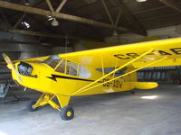 CS-ABW @ LPIN - Piper cub at espinho, Portugal - by ze_mikex