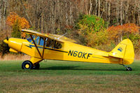 N60KF @ KSMQ - Cub Landing on The Grass, As It Should Be - by Bruce Vinal