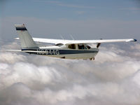 N8044G - Tumbleweed Playing - by Ron Lisberg