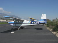 N366K photo, click to enlarge
